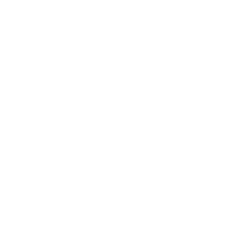 Logo_1_medirex